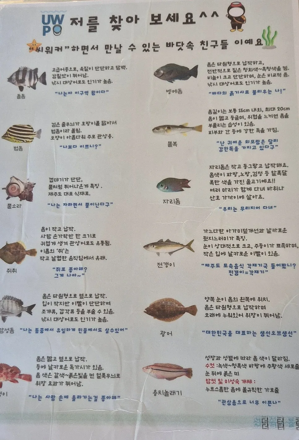 이퀄라이징과 수신호 교육 영상