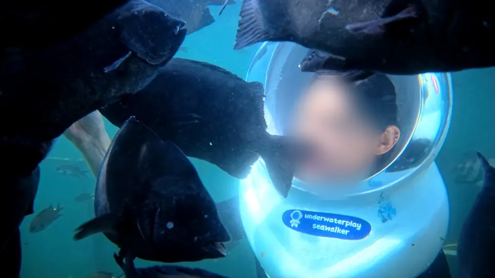 案内を受ける海中体験の様子