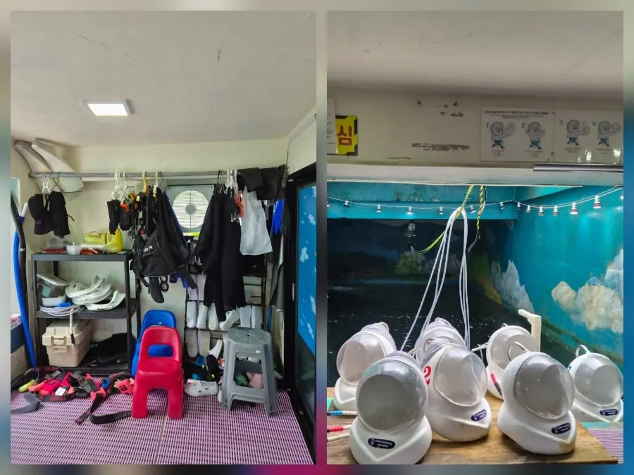안전교육을 마치고 체험 준비하는 모습