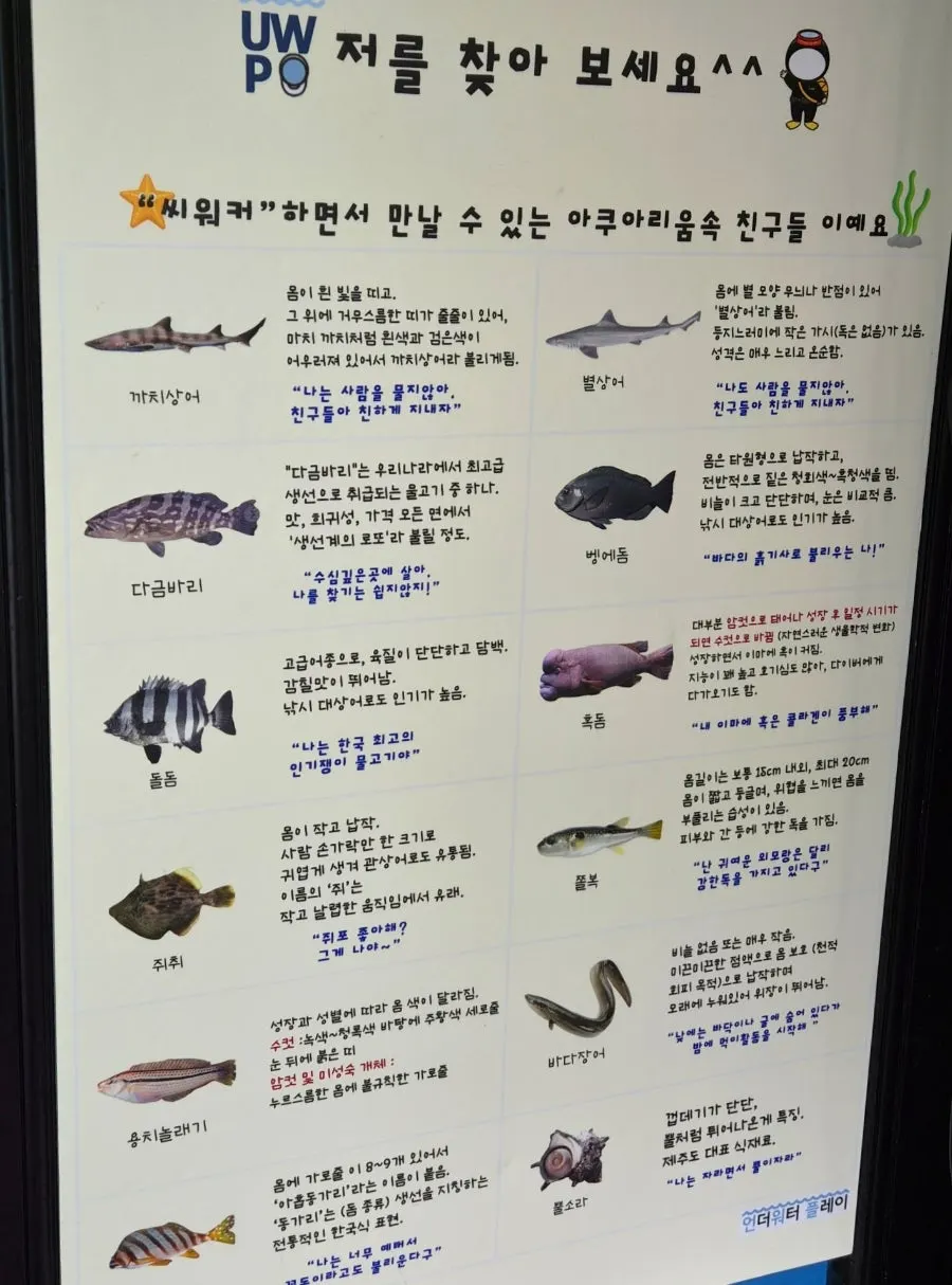 씨워킹 전용 헬멧을 쓰고 입수를 기다리는 아이