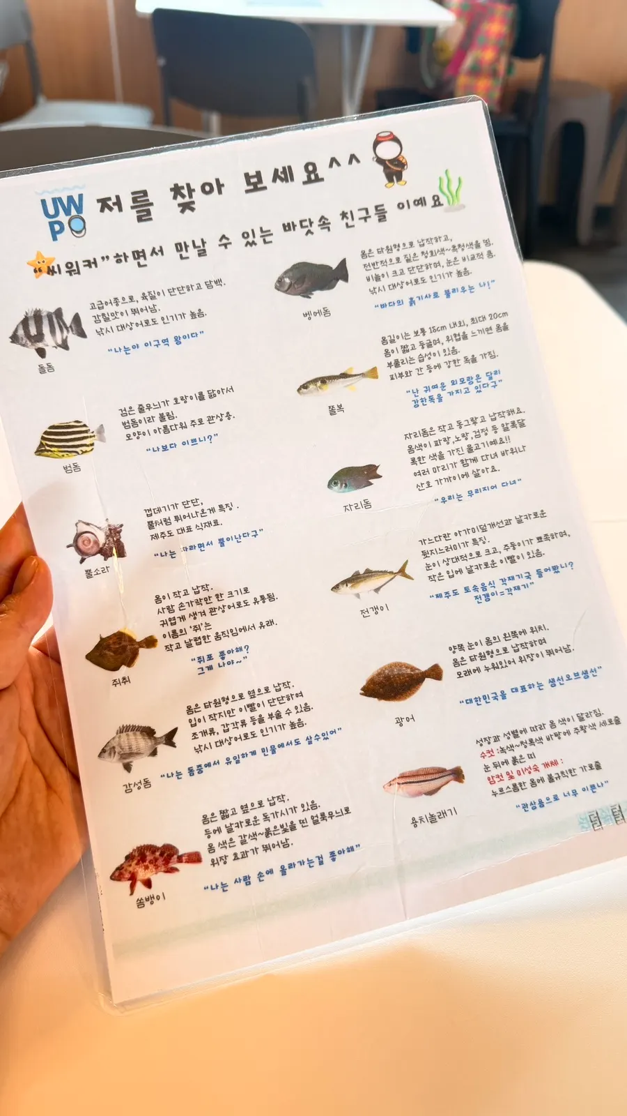 Sign showing the fish species you can meet during sea walking