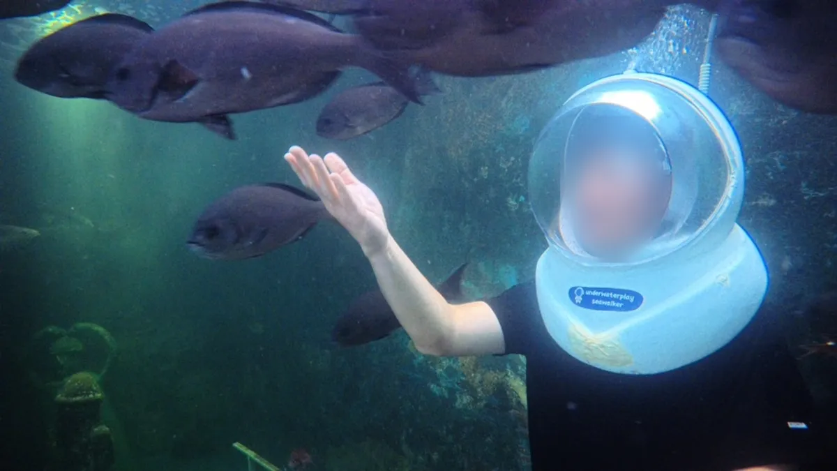 A stingray-shark encountered during the indoor sea walking