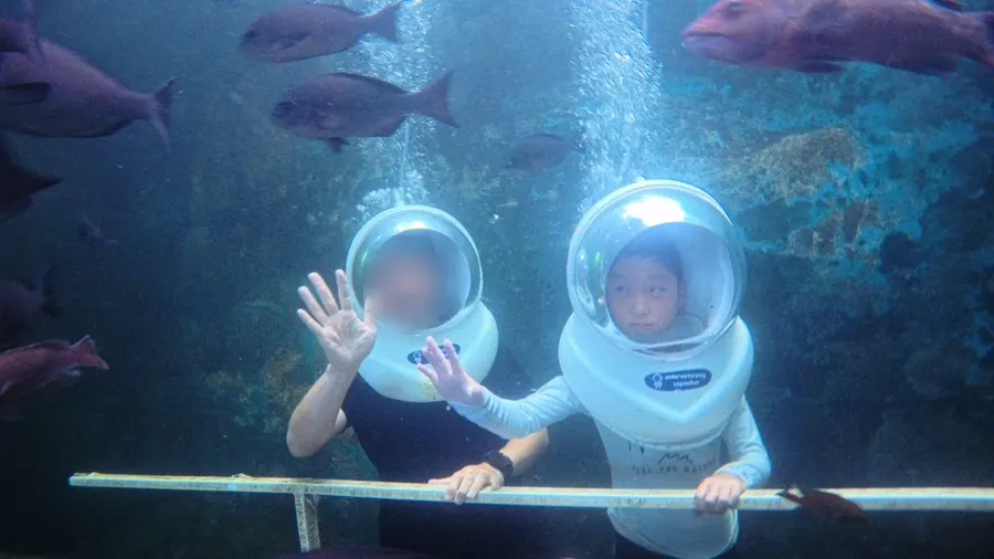Watching fish up close during the indoor sea walking experience