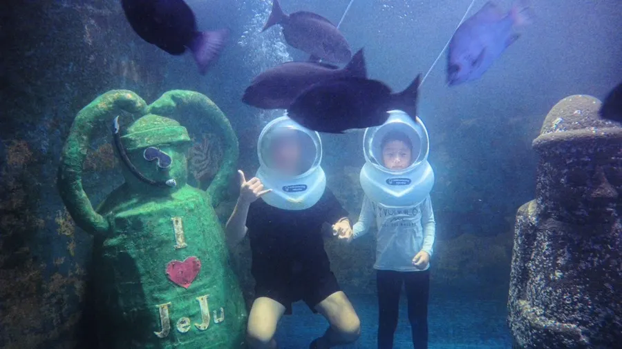 Underwater photo taken by a professional guide