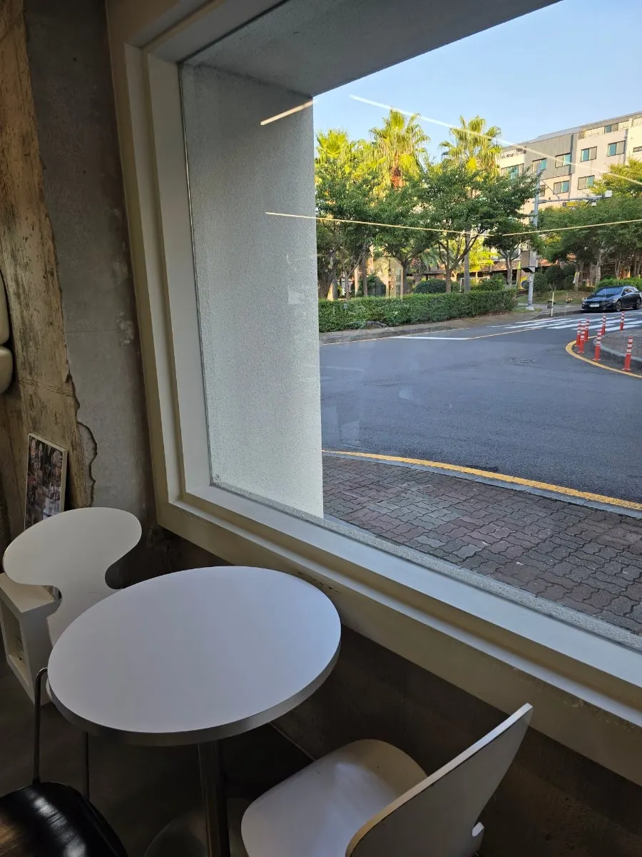 Window seat with a view of palm trees through the glass
