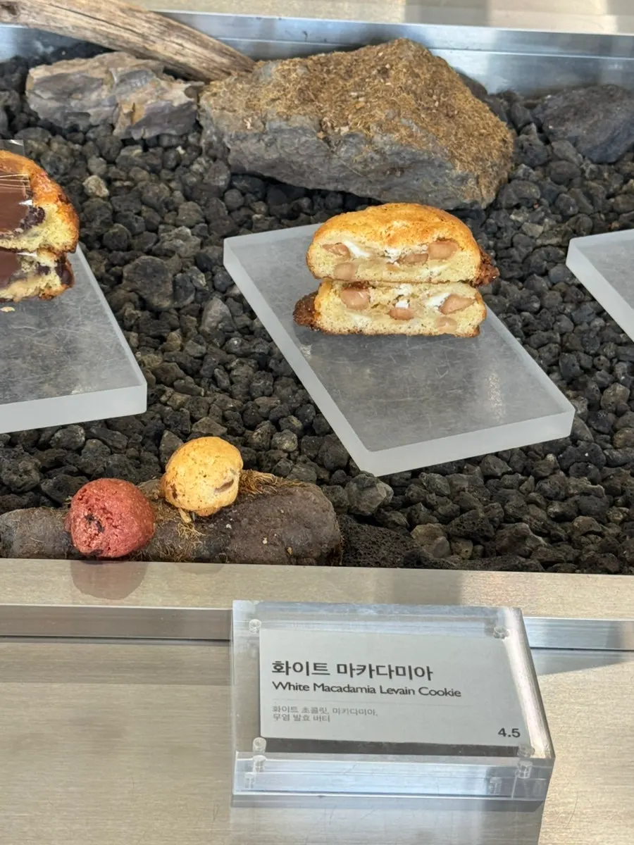 Levain cookie display case at Gluttony Coffee