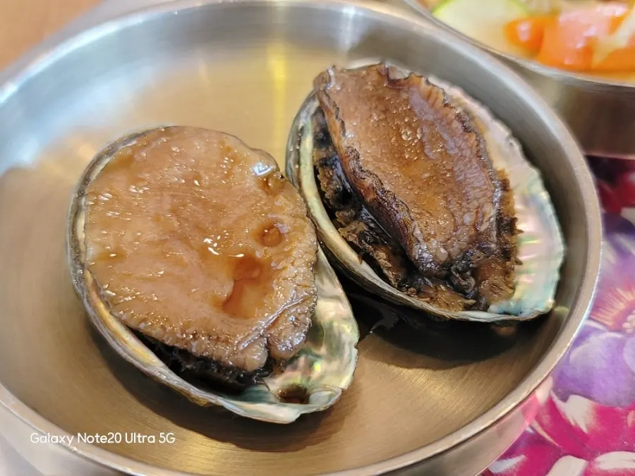 Glossy abalone jang