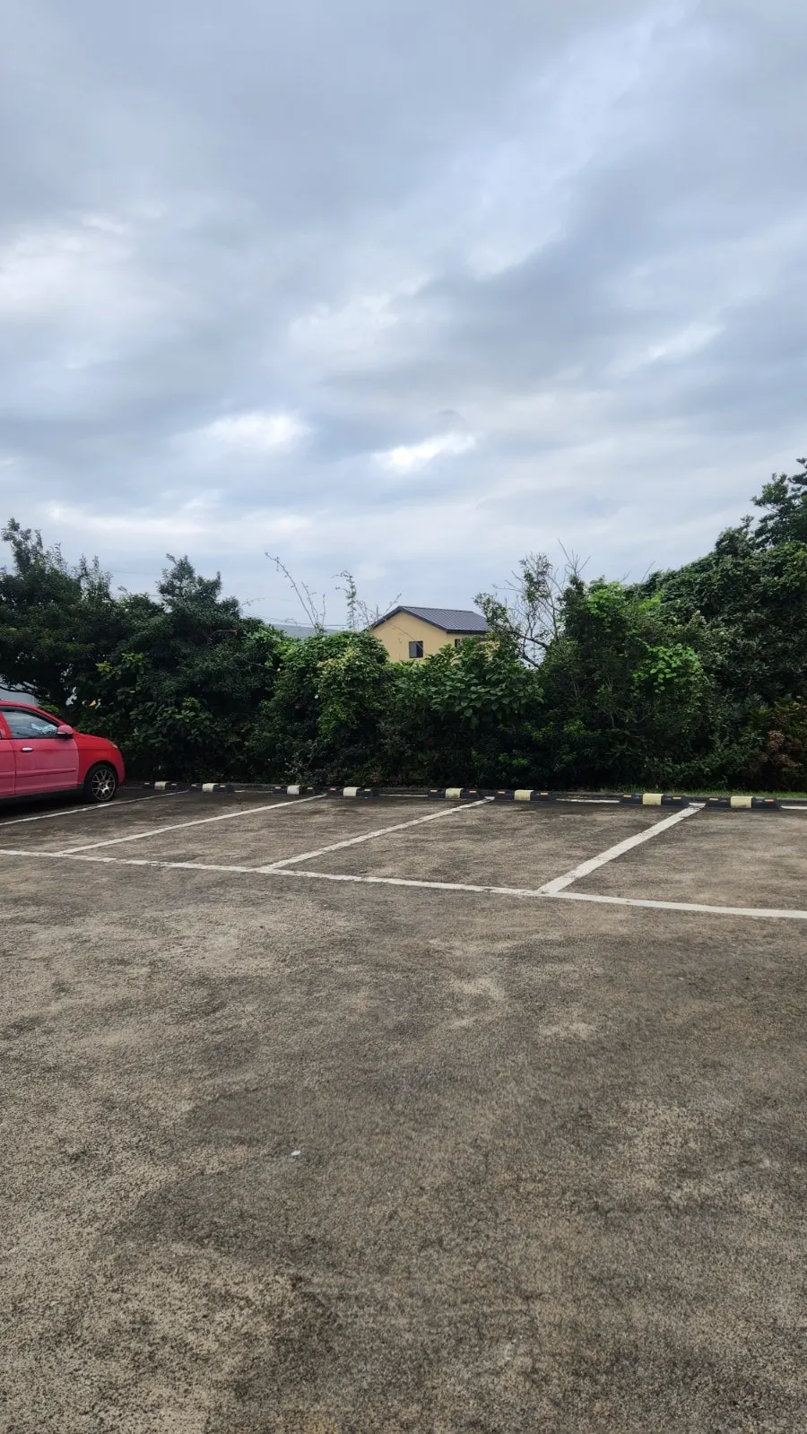 Parking information in front of Pyeongdae Alhi restaurant