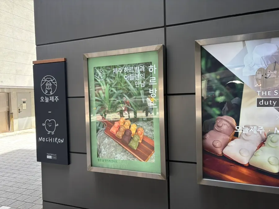 Choosing edible Jeju souvenirs