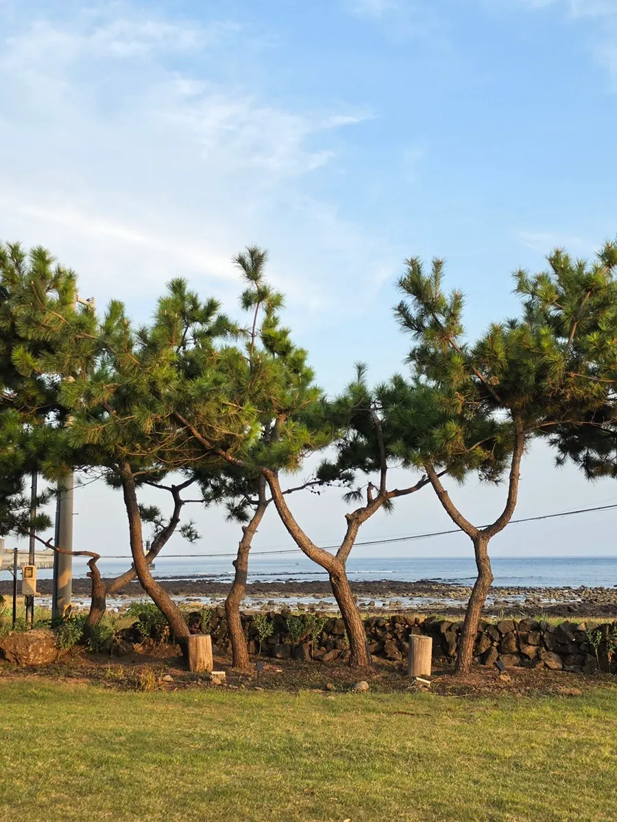 Coastal walking path view seen while eating