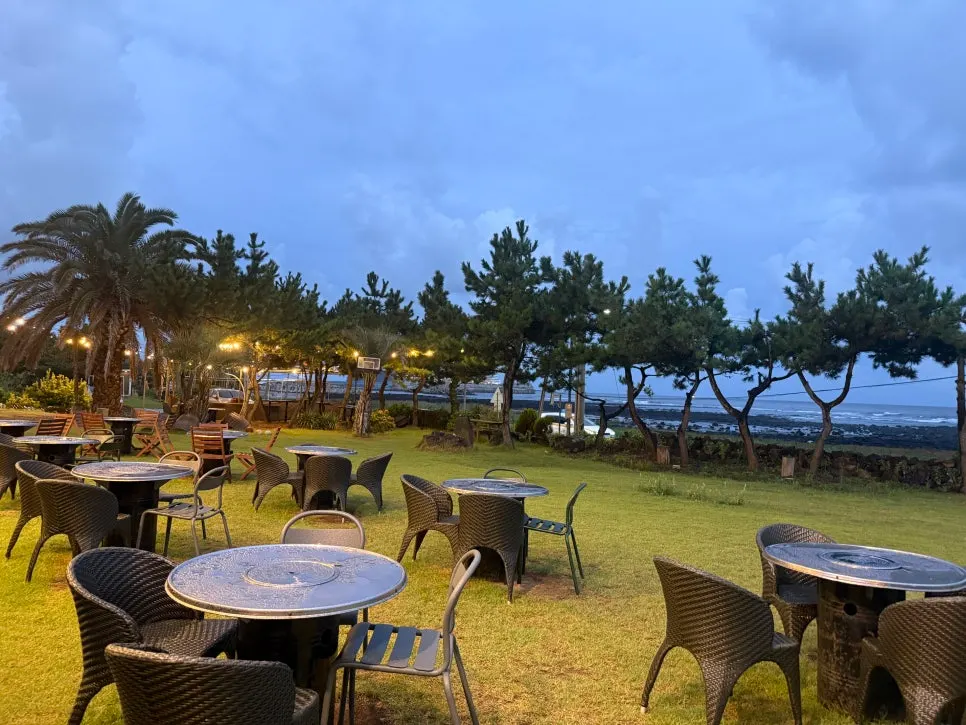 View of Jeju Healing Dwaeji with the ocean visible