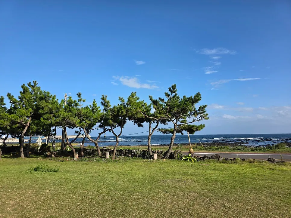 View of the Seogwipo sea stretching in front of the restaurant