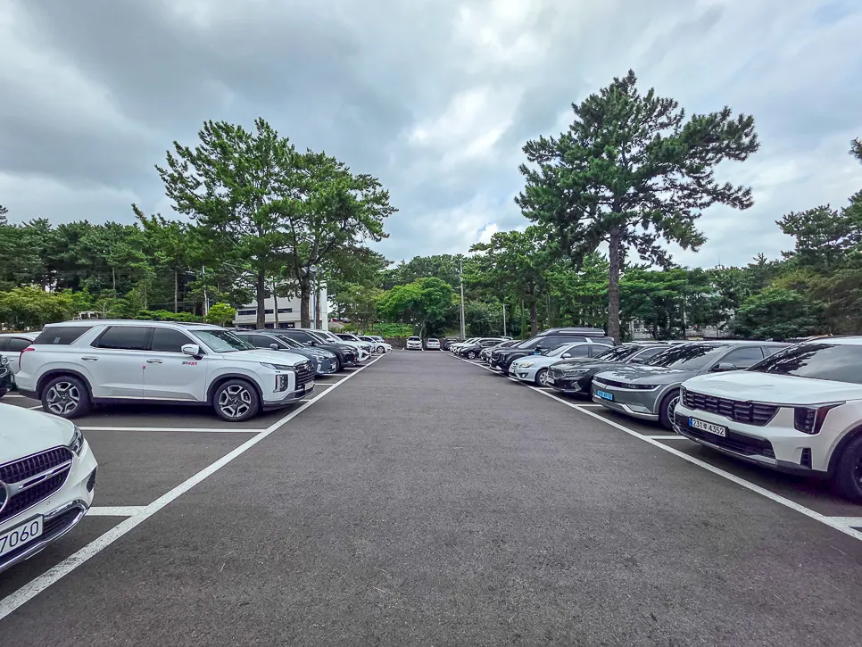 Parking area in front of the Theme Park Toon building