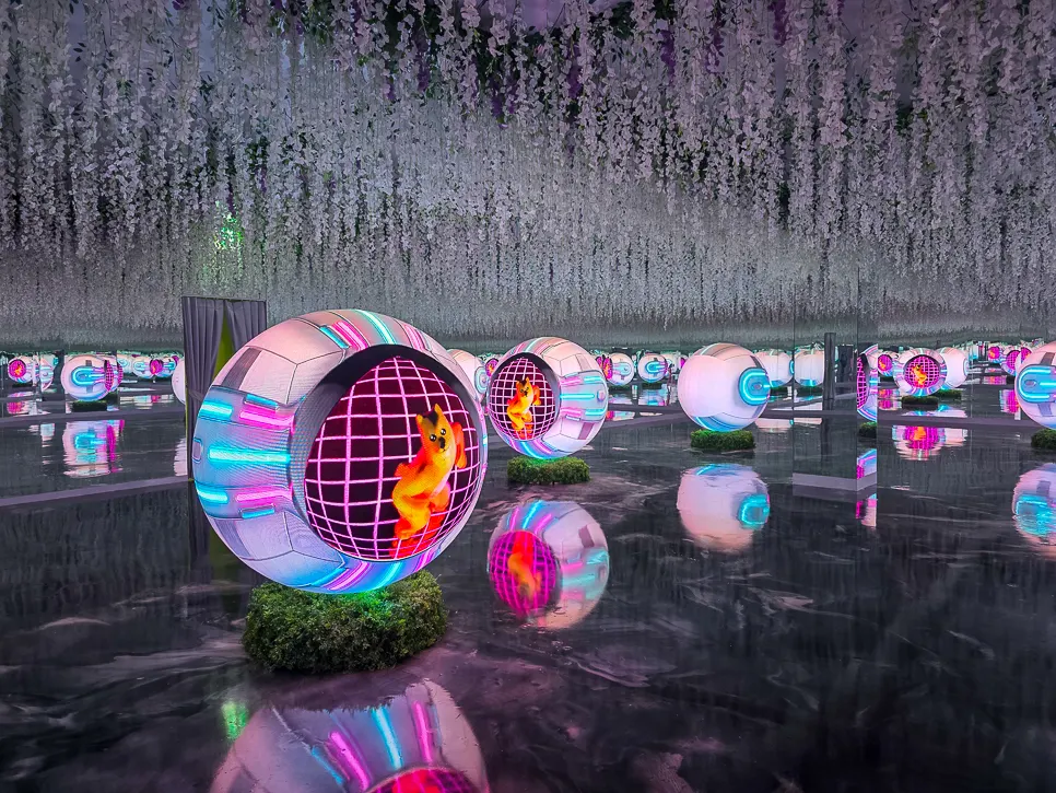 Character space with a reflective floor and colored lighting