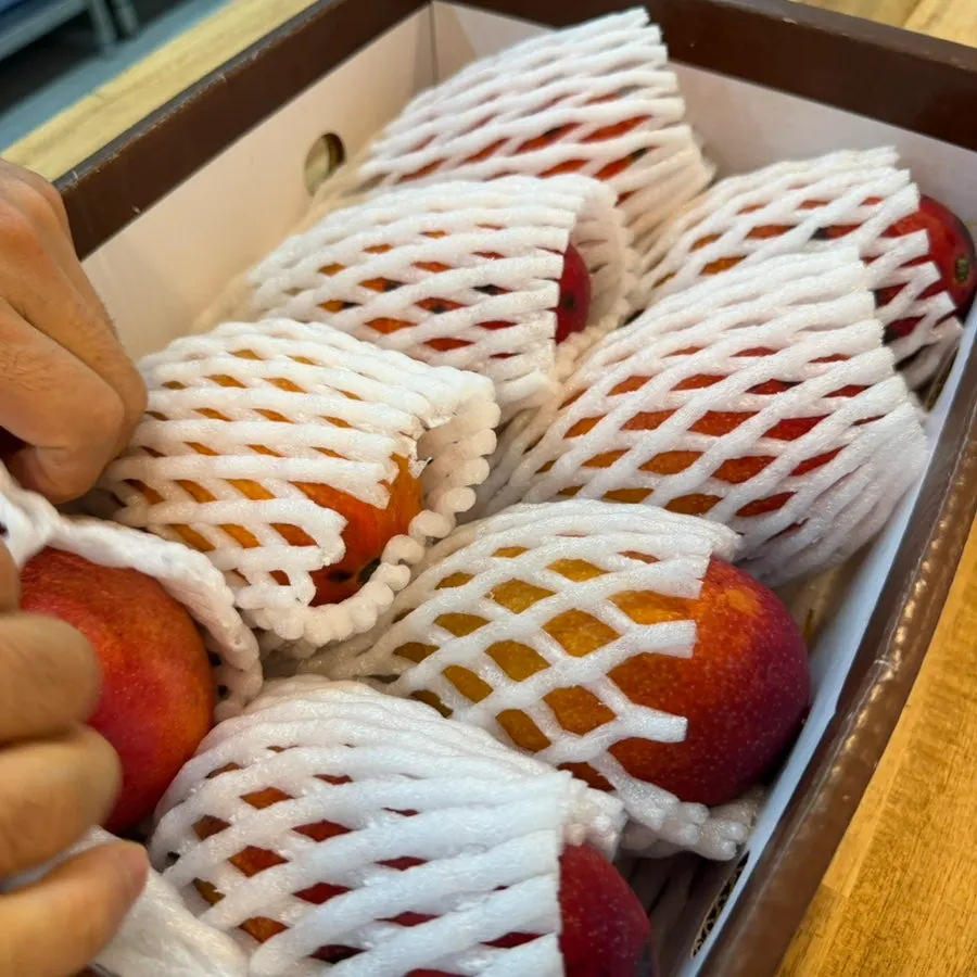 Close-up of Theme Farm apple mango