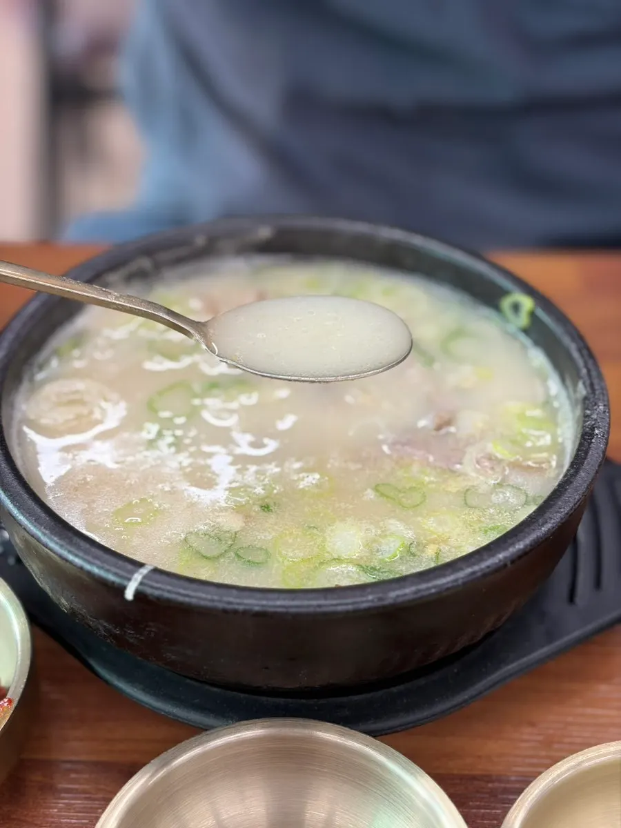 Generous serving of myeolgoguksu noodles
