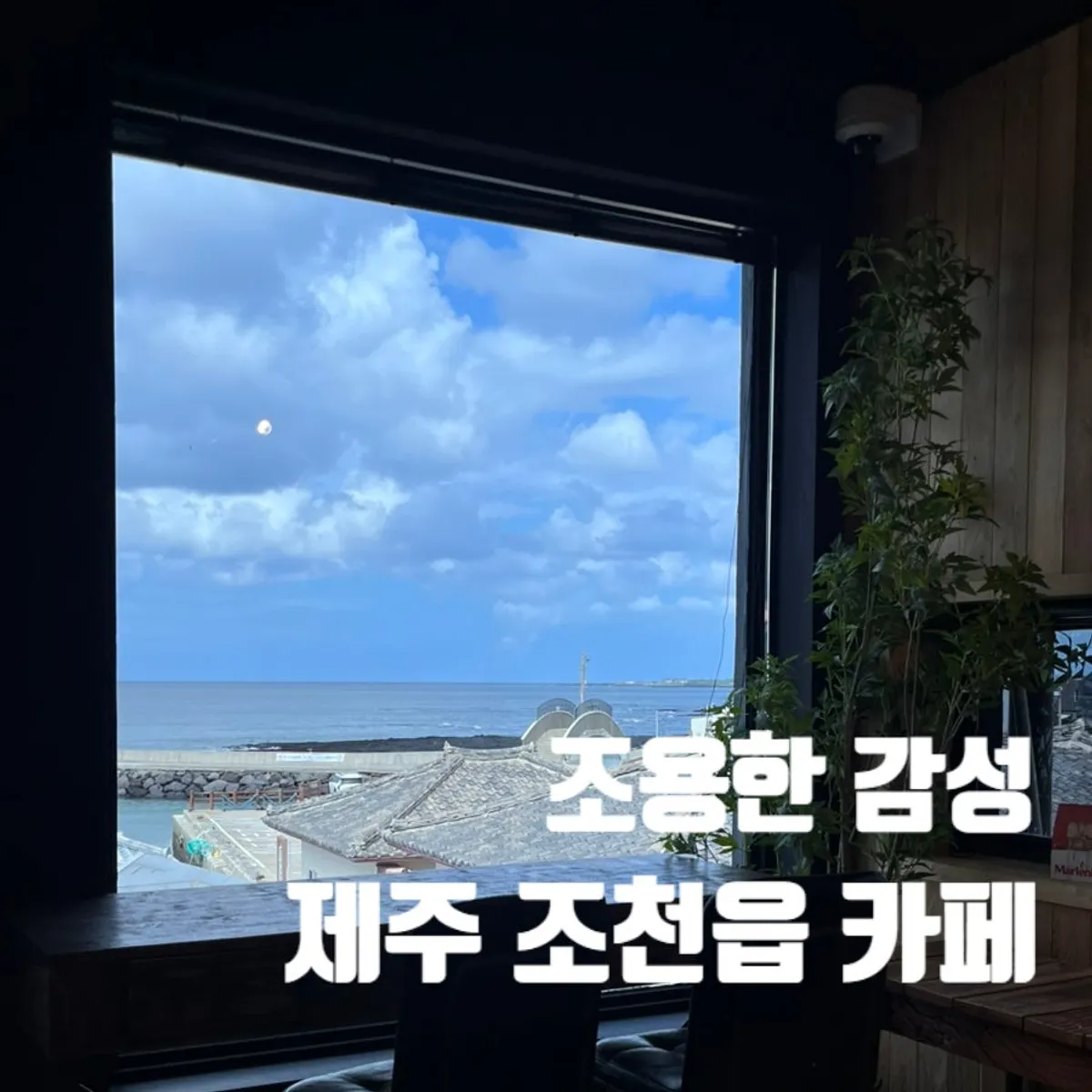 돌담과 잔디마당이 있는 조천읍 대형카페 전경