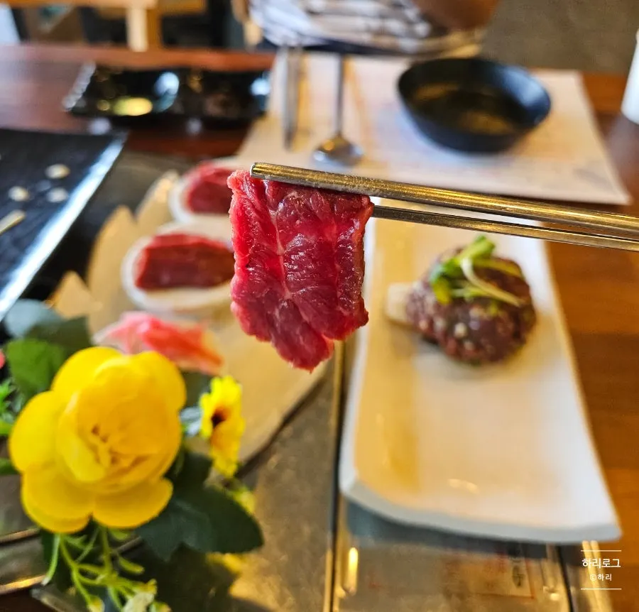 Fresh horse-meat sashimi