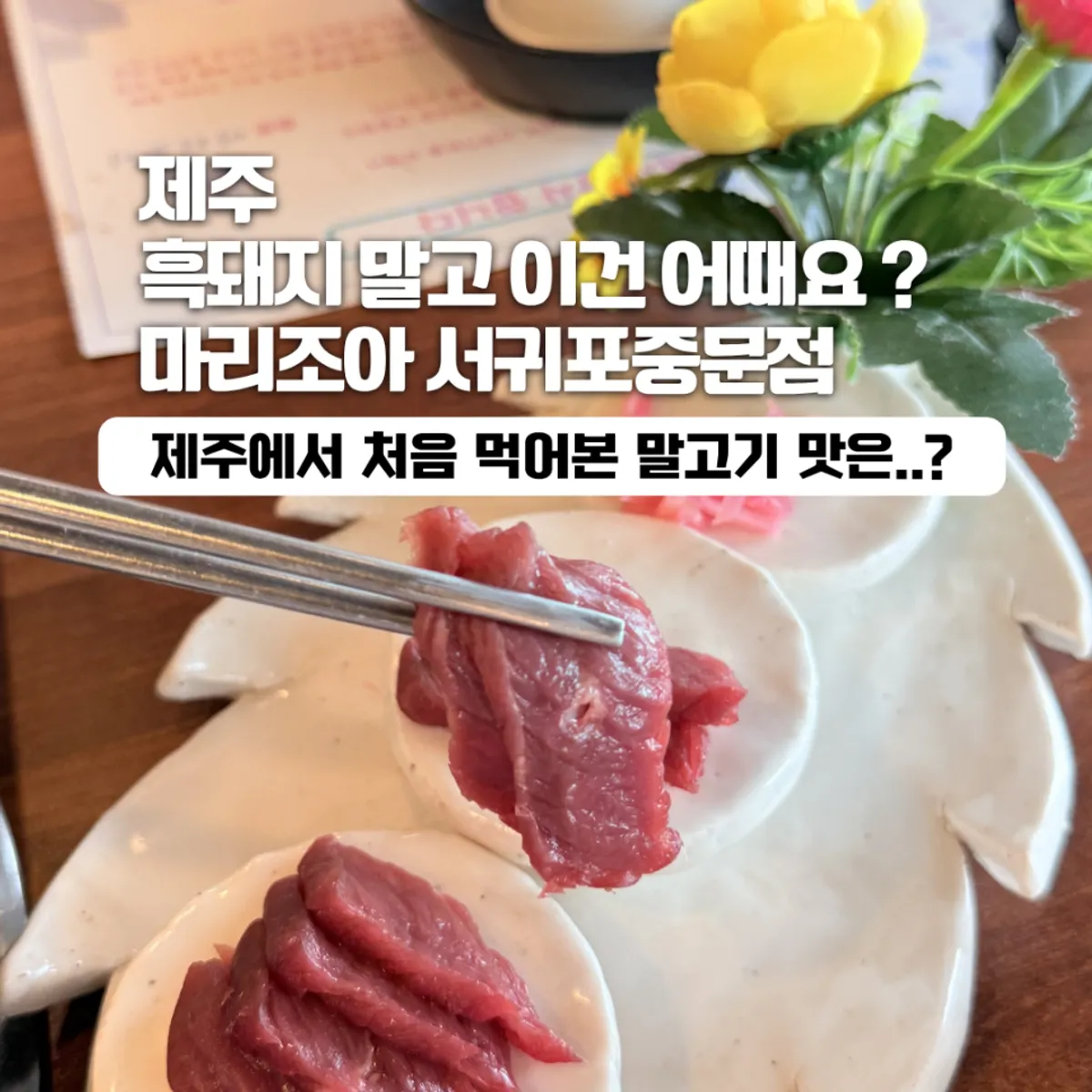 馬里造亞西歸浦中文店馬肉租亞全餐代表照