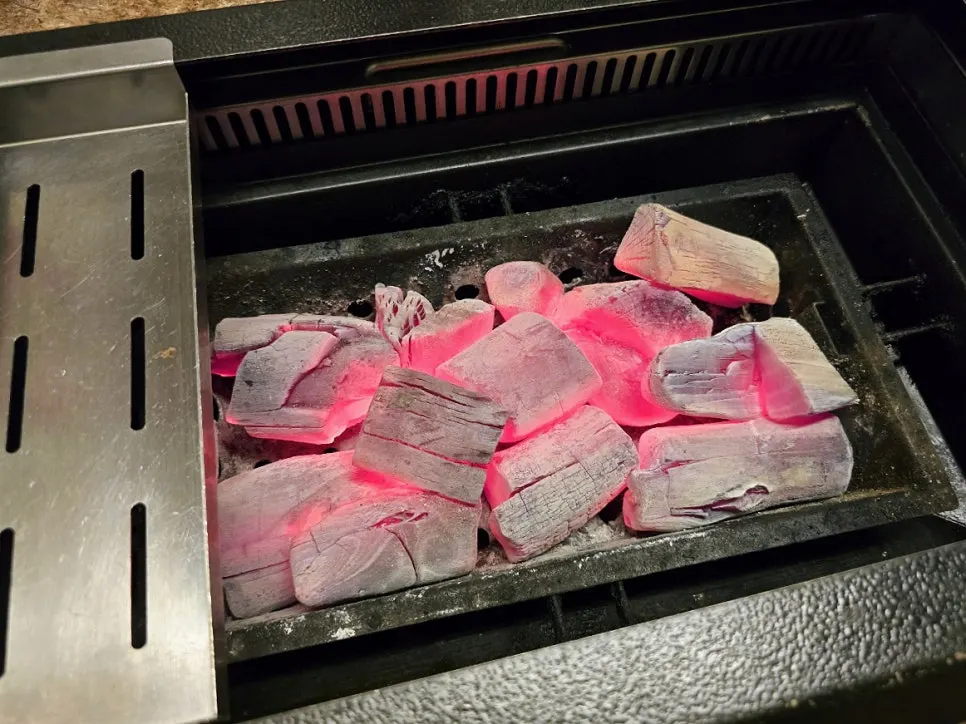Binjangtan charcoal grill and grate
