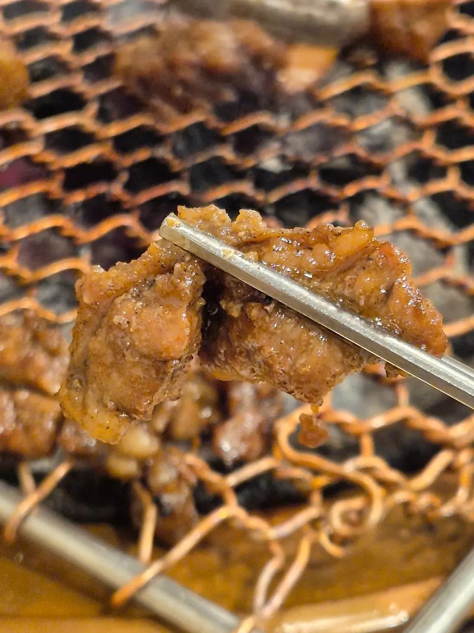 A fully grilled piece of marinated pork ribs