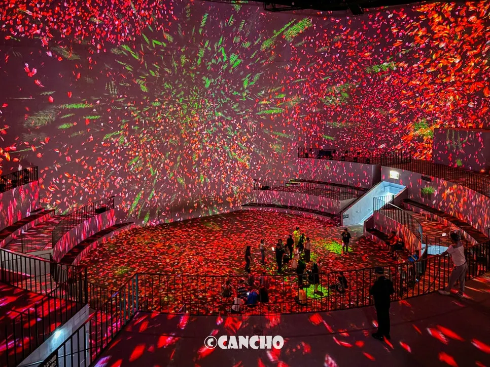 Nohyeong Supermarket exhibition hall bursting with intense color