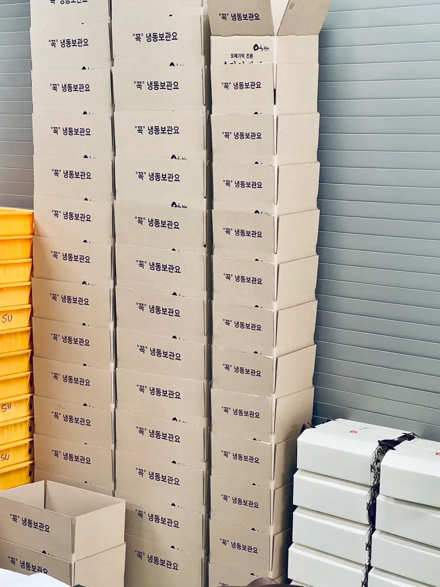 30 pieces of omegi-tteok packed with an ice pack