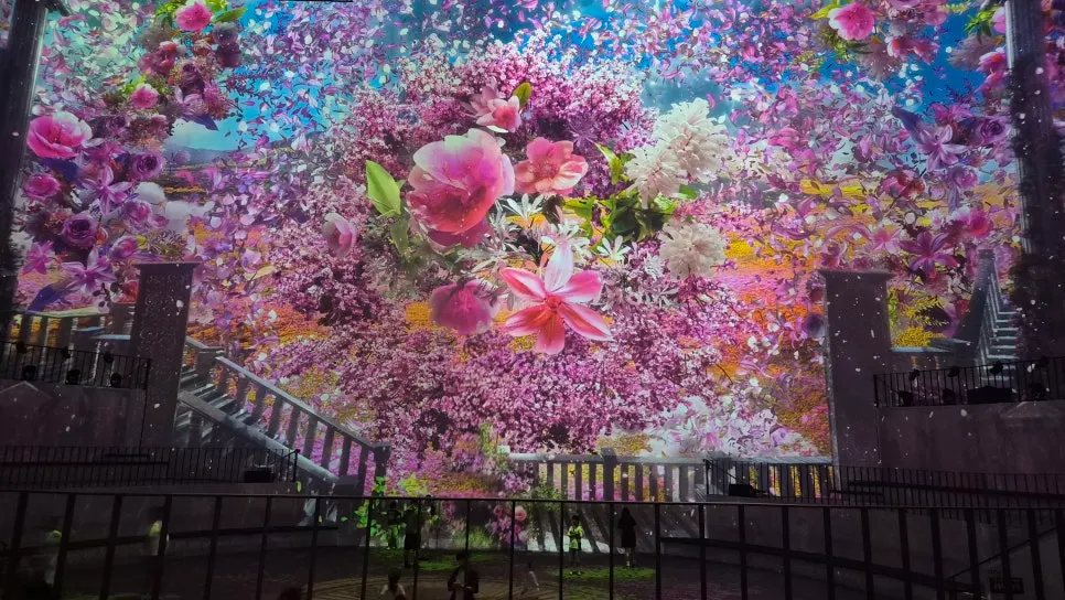 Video space showing Jeju oreum and flower fields