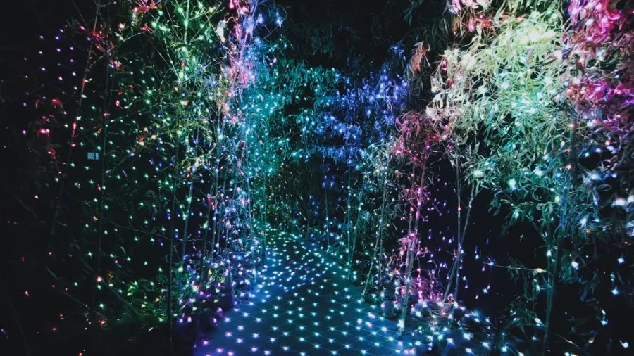 Dreamlike lighting at the Gopeullak photo zone