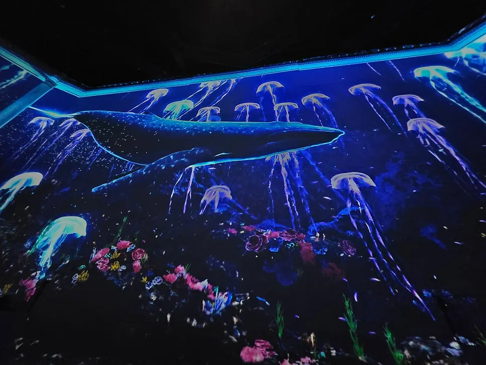 Media art screen viewed from the stepped seating