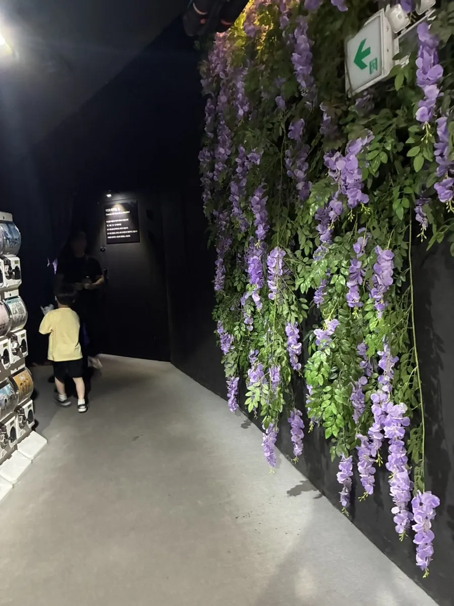 Media art visuals filling a large wall