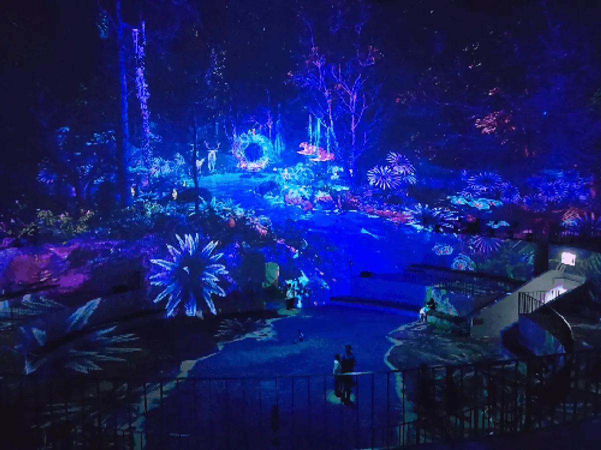 The dreamlike forest set at Nohyeong Supermarket