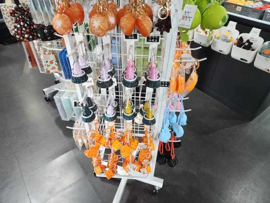 Magnet display at Nohyeong Jotpumjeom