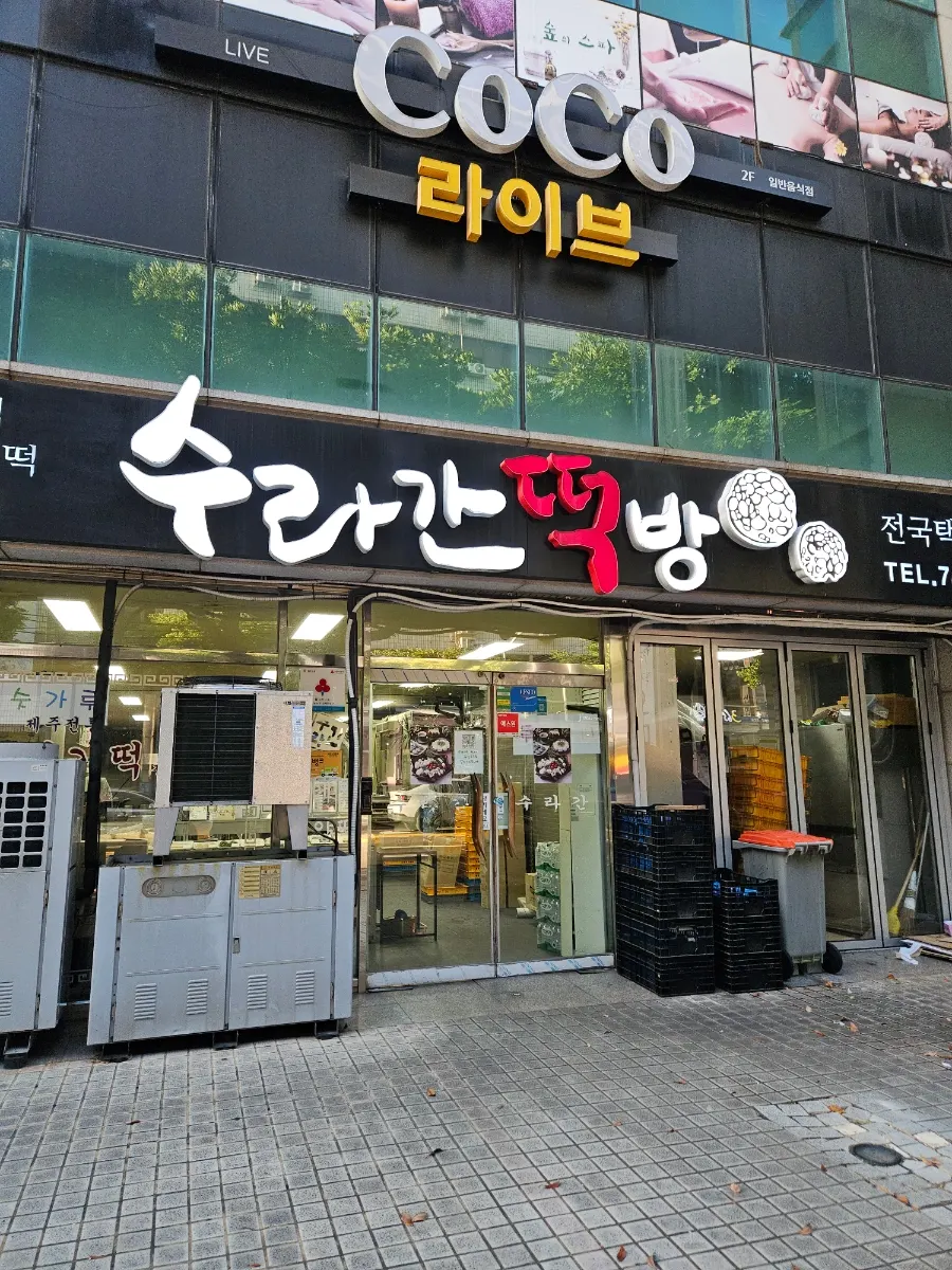 Visit to Jeju rice cake shop Suragan Tteokbang