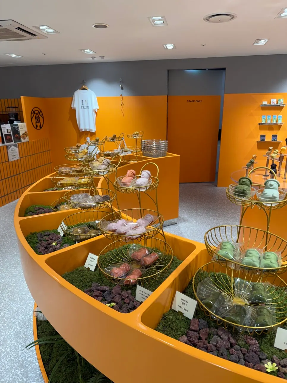 Today Jeju dessert showcase