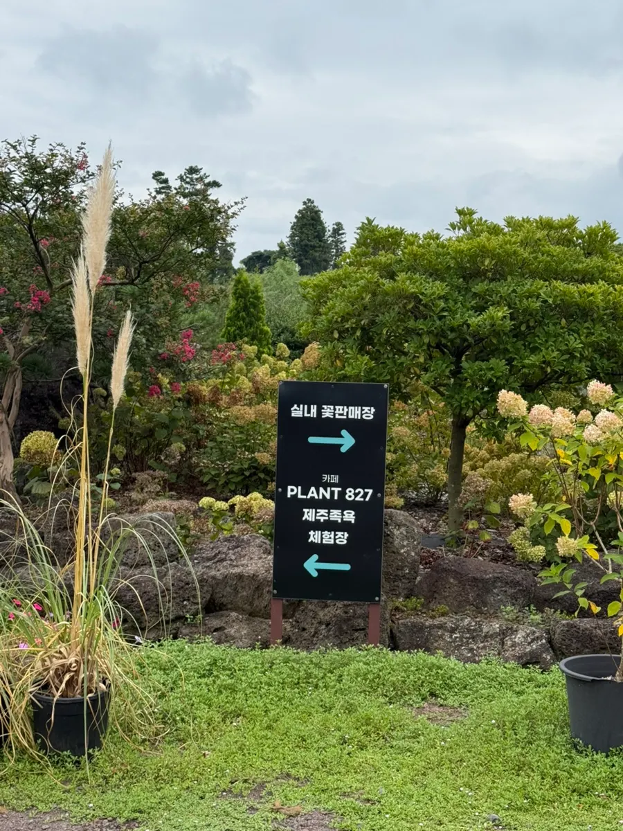 Green garden path leading into Jayeon in PLANT827 café