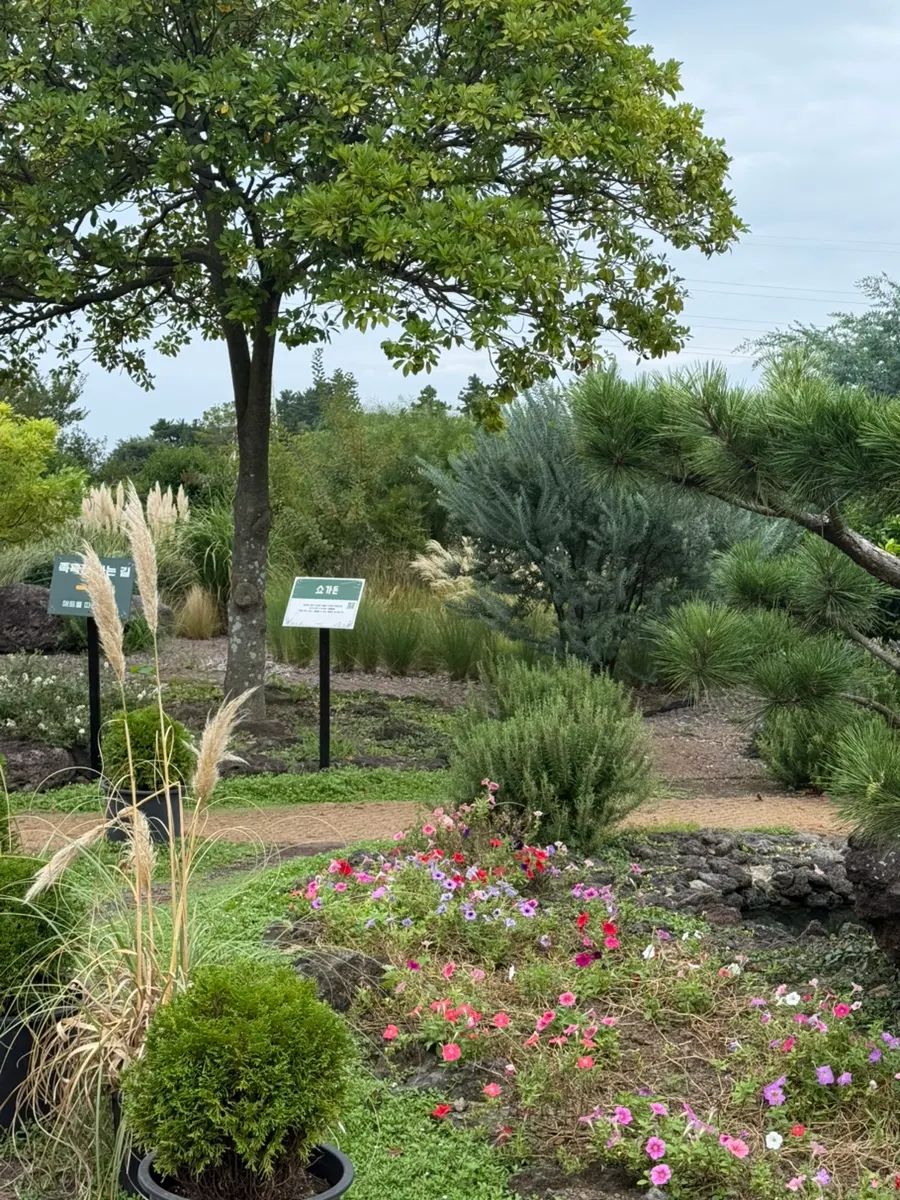 Foot bath experience area within the garden