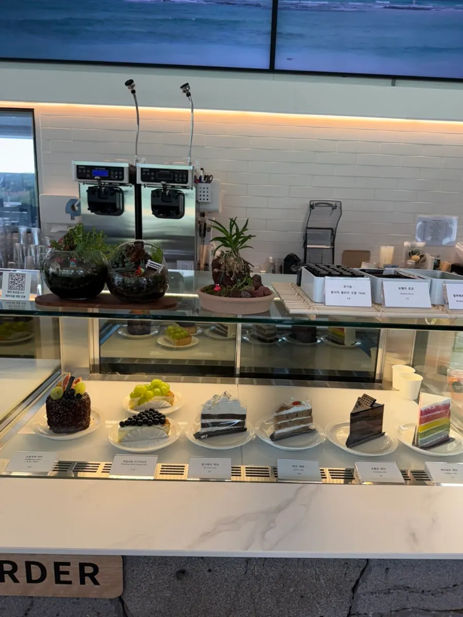 Bread displayed at the PLANT827 bakery counter