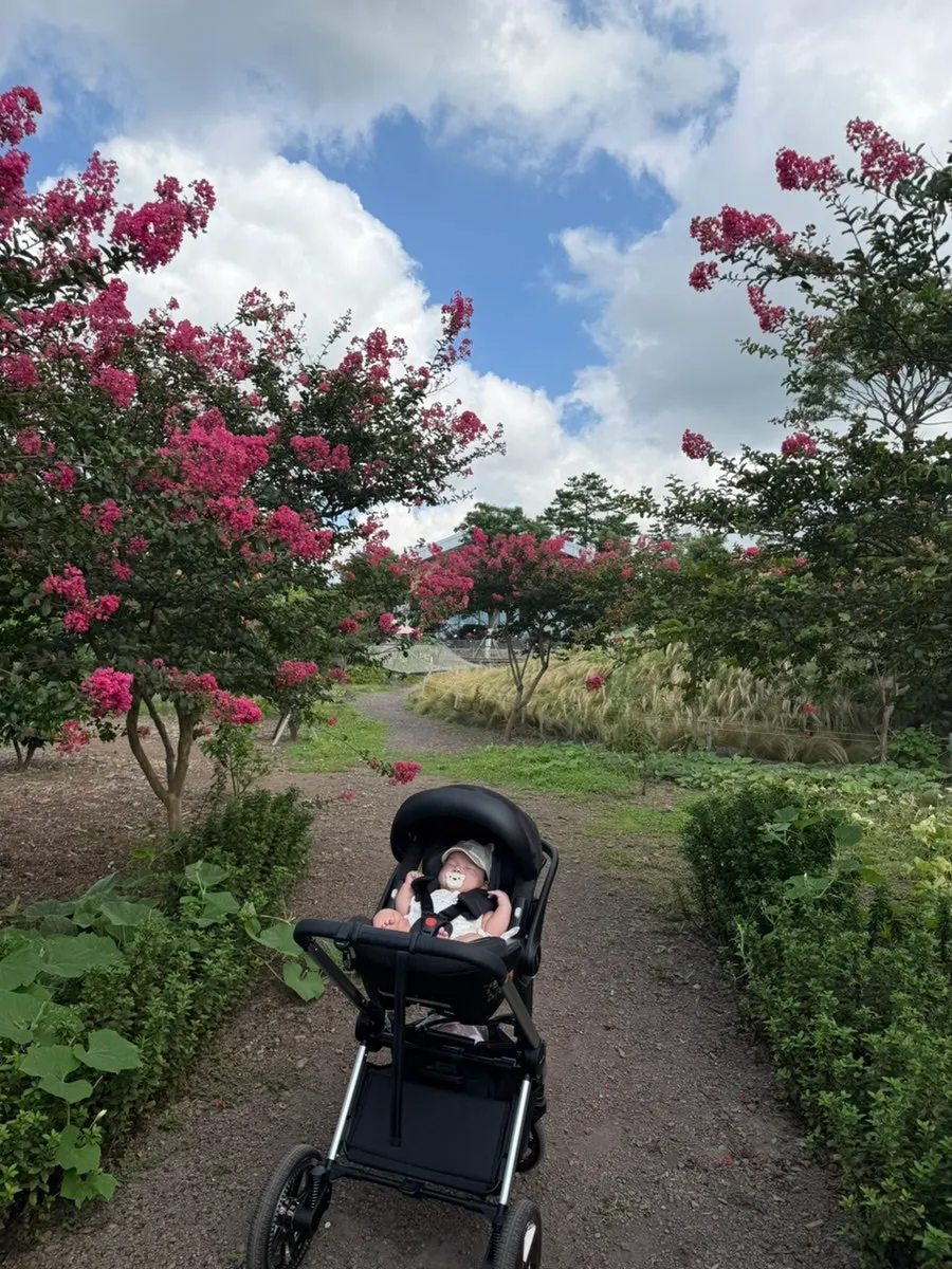 Garden walking path with a pretty green backdrop