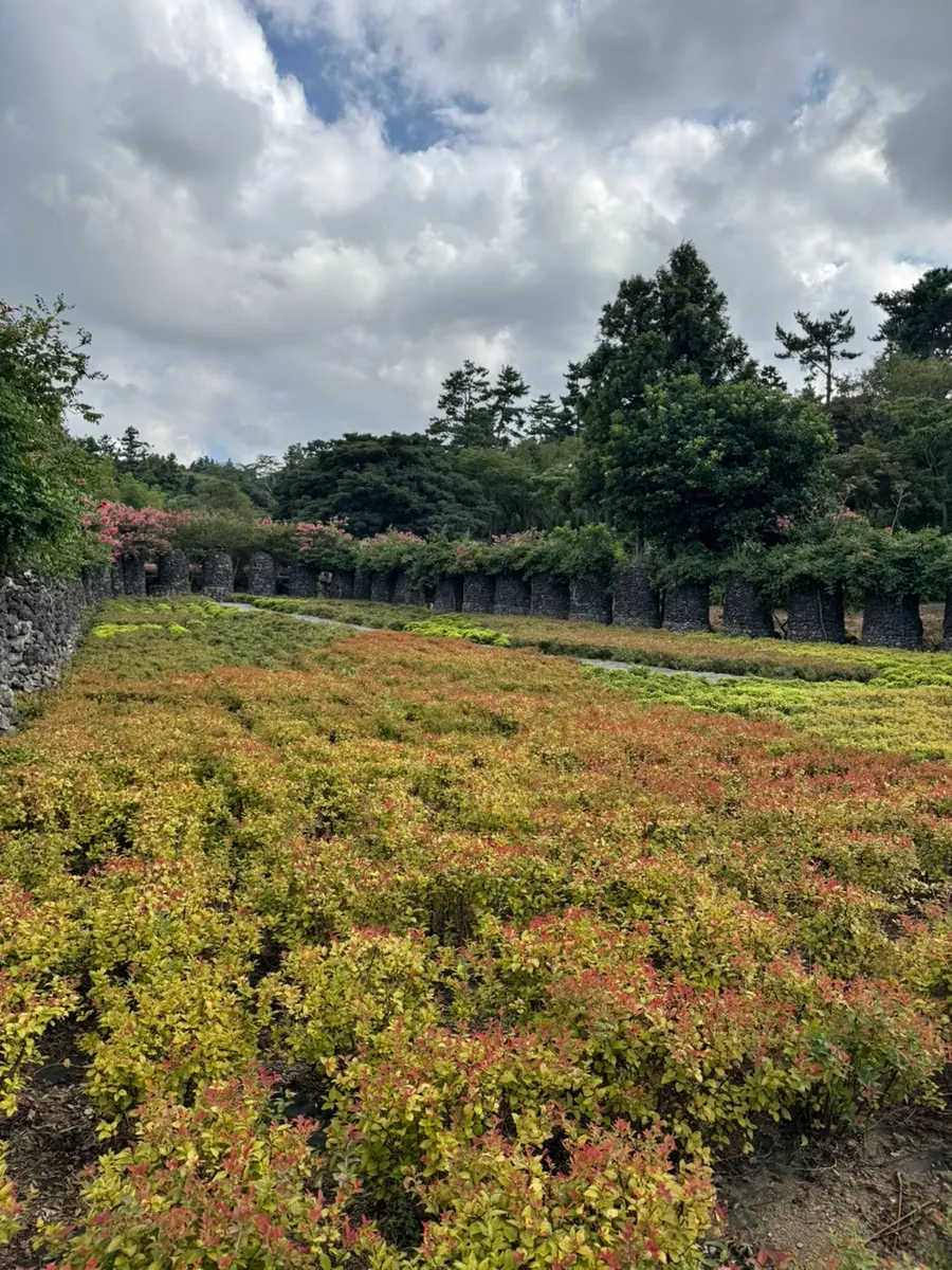 View of the large café garden