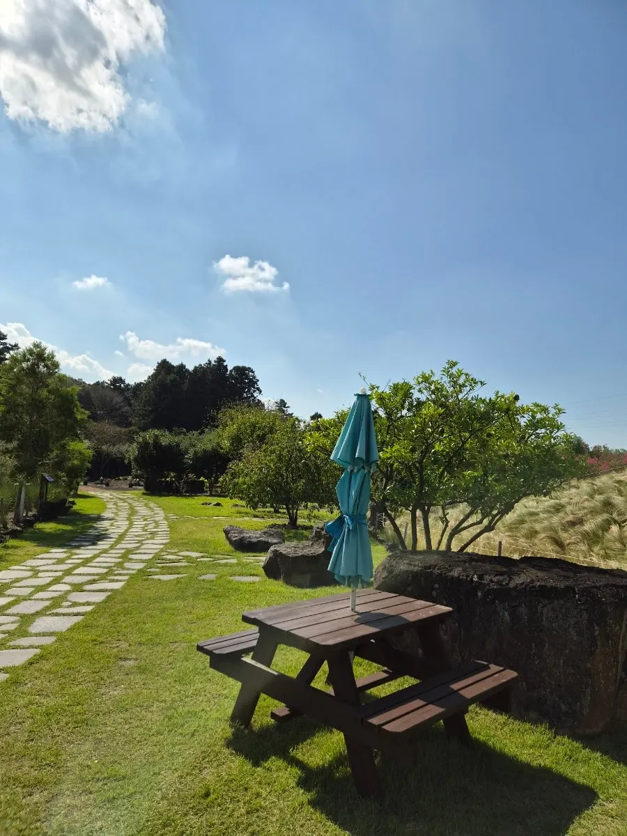 Outdoor garden at PLANT827 with parasols and tables