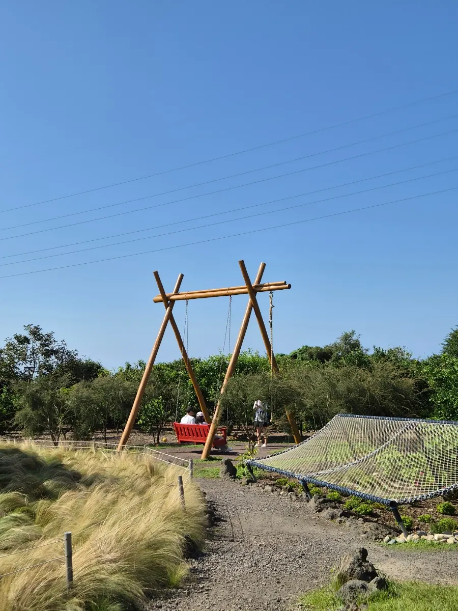 A swing set in a corner of the grass garden