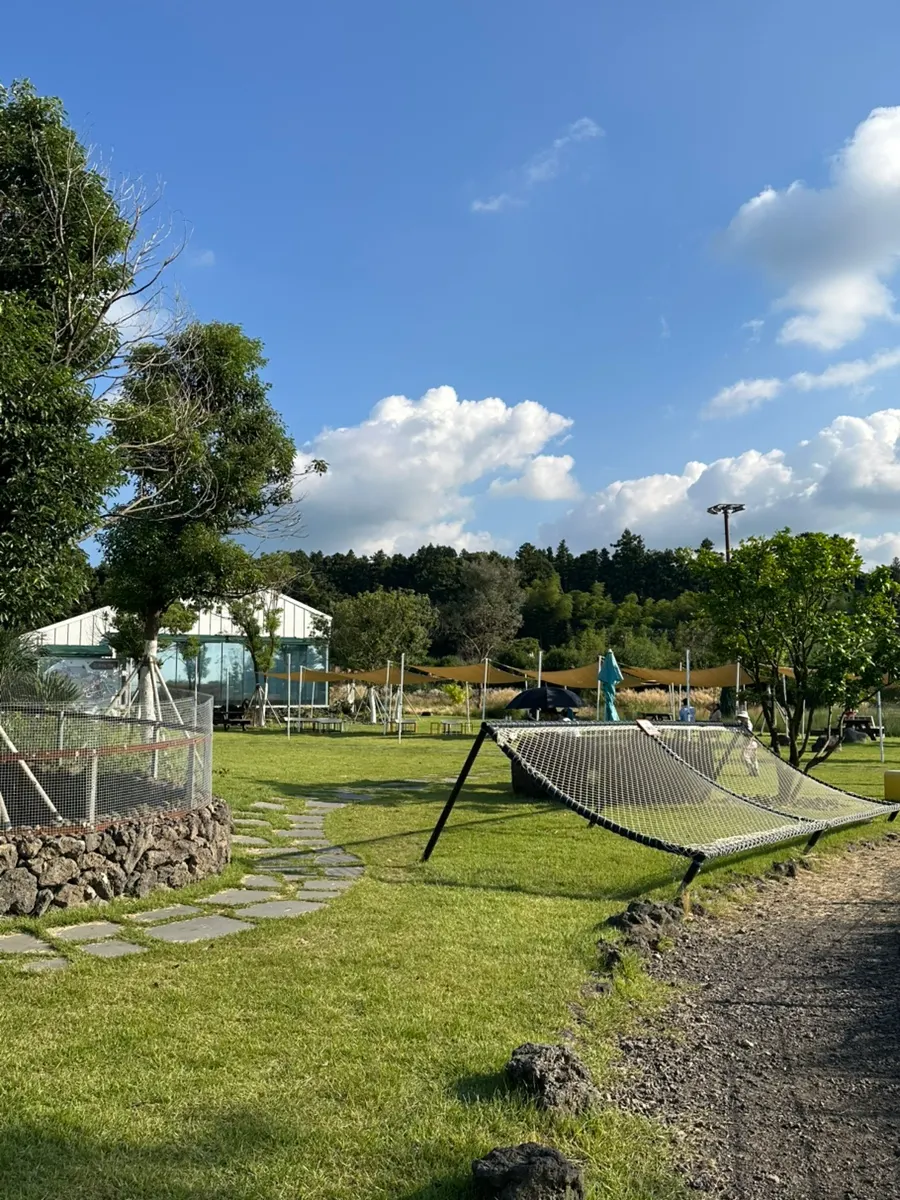 Wide, well-maintained outdoor lawn garden