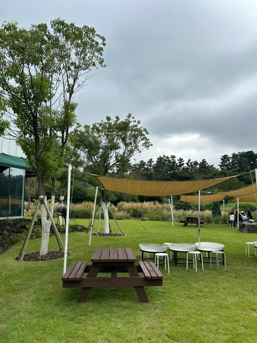 Rabbit and chicken viewing area next to the café