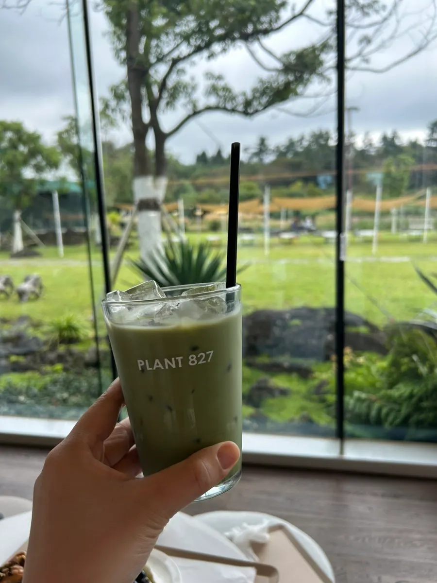 Jeju matcha latte and ice cream latte order
