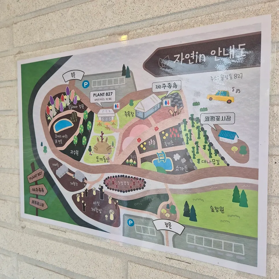 제주 자연in PLANT827 카페와 정원 풍경