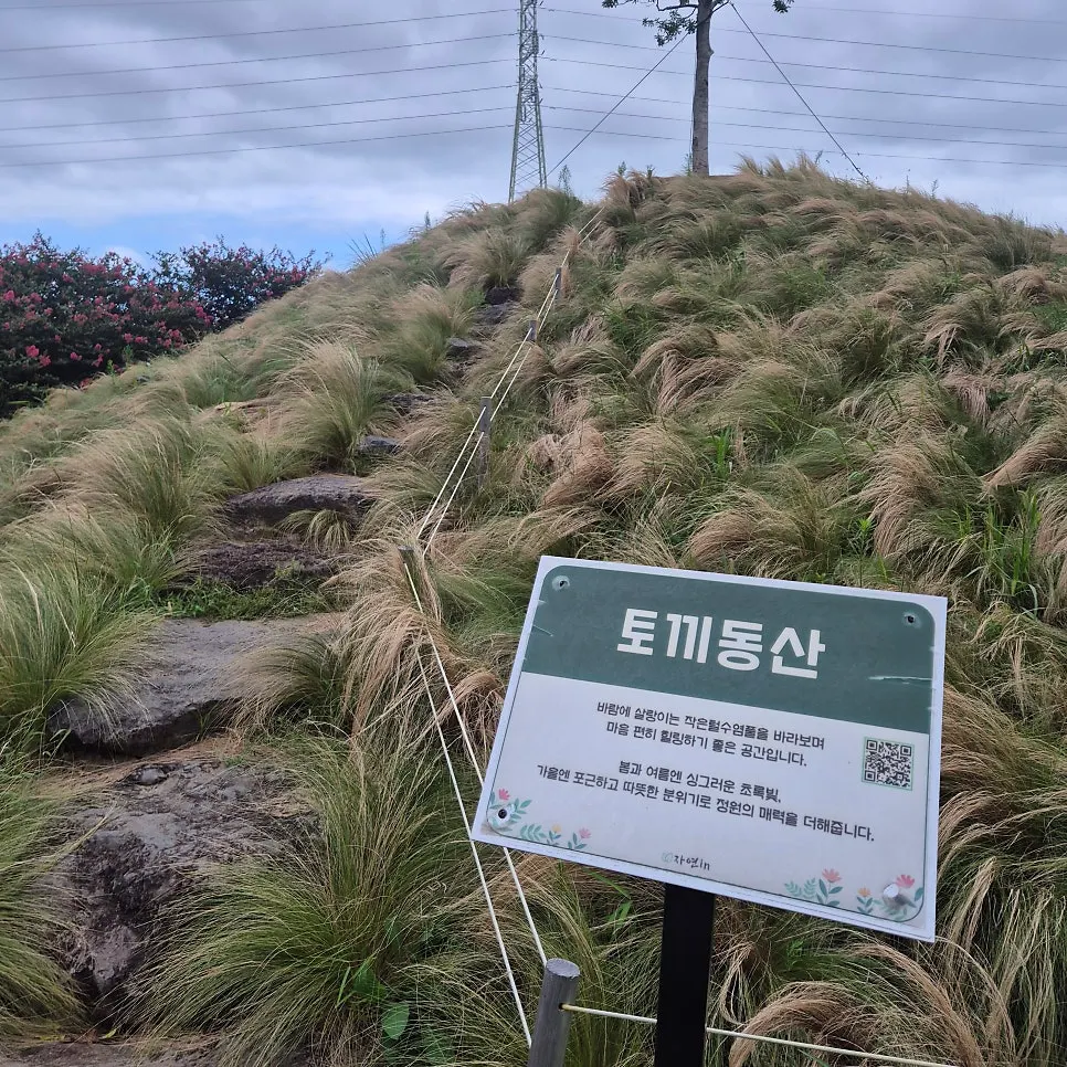 넓은 잔디밭이 보이는 정원 전경