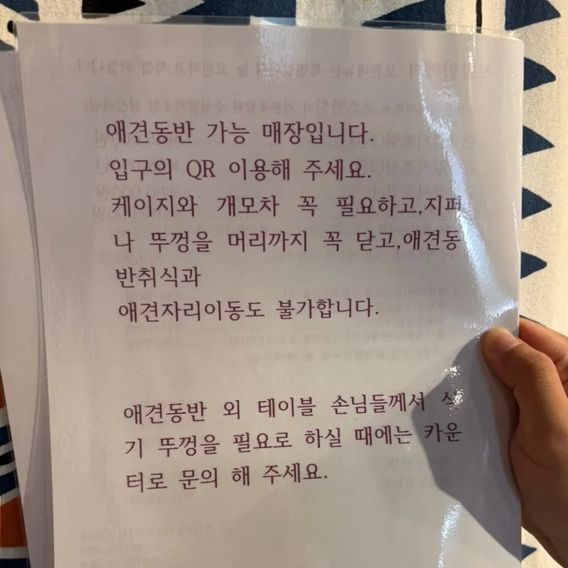 애견동반 가능한 식과함께 매장 전경