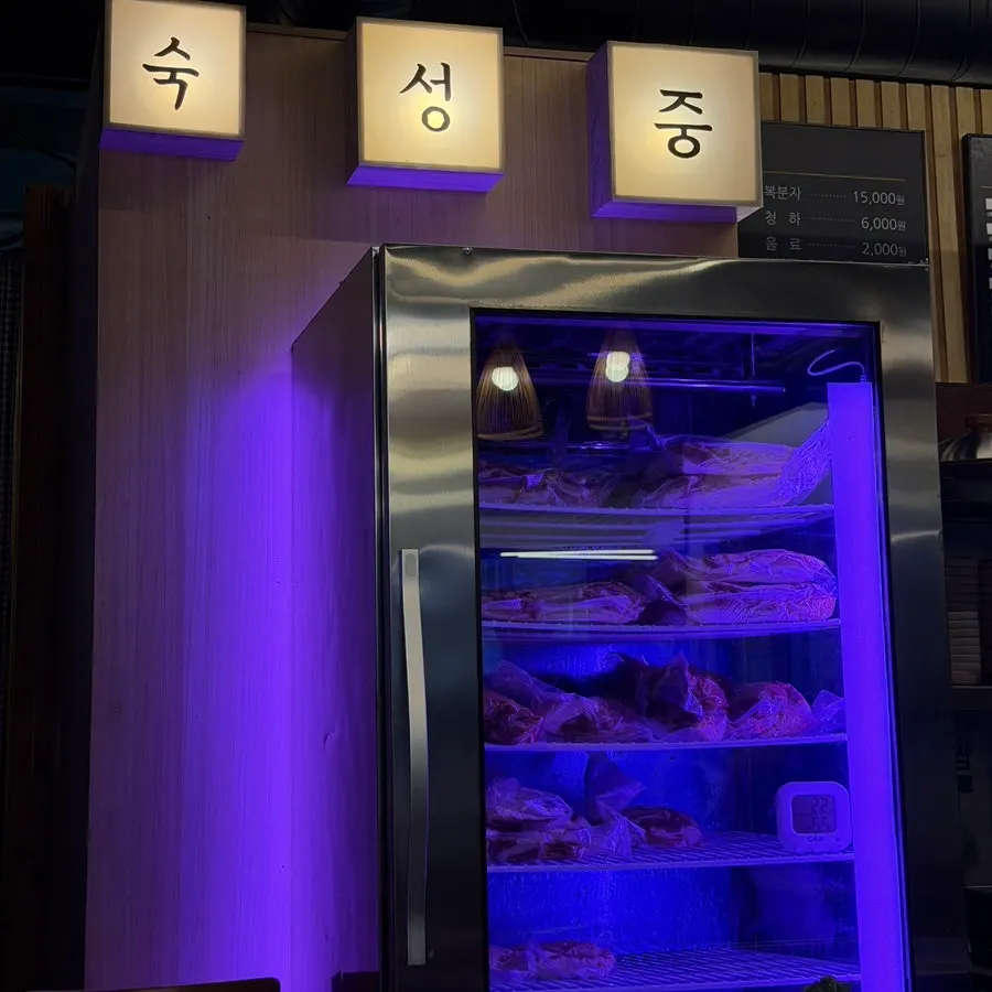 Babi hitam Jeju sedang diperam