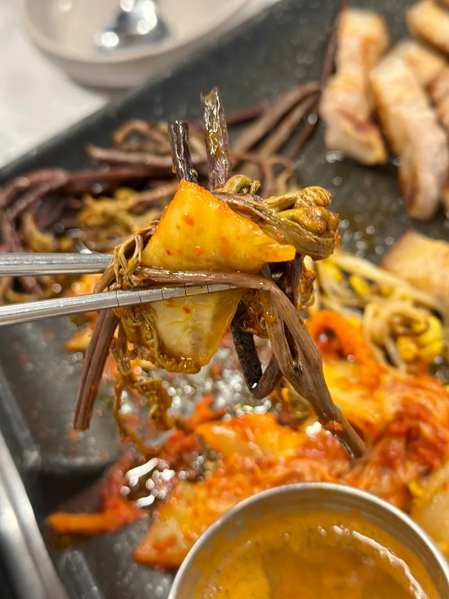 구운 고사리와 김치를 곁들인 고기
